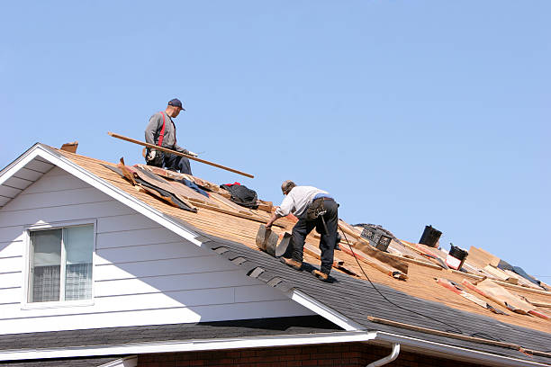 Best Skylight Installation and Repair  in Sultan, WA